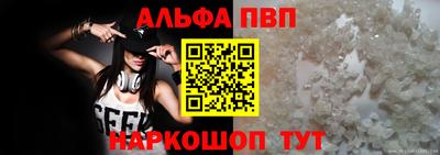 СК Новокубанск