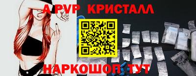 СК Новокубанск