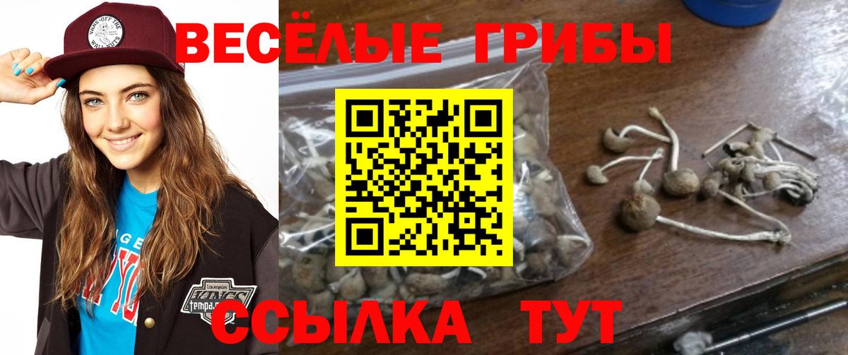 Галлюциногенные грибы GOLDEN TEACHER  Вход с VPN  где можно купить наркотик  Тула 